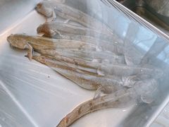 -华盛丰温州大排档(东三环南路店)