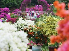 -莲花山公园