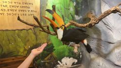 -Zoolung Zoolung动物主题公园(海信广场店)