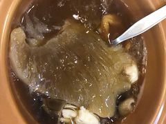 -大中鱼翅 Taitong Shark Fin
