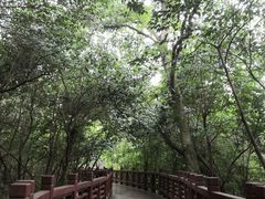 -紫金山山顶公园