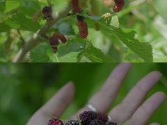 -南京市无想山景区