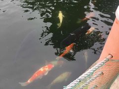 -湖鲜楼