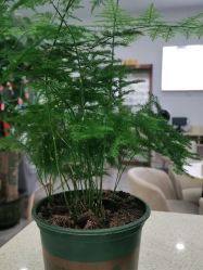 -痘院长·祛痘·科技美肤