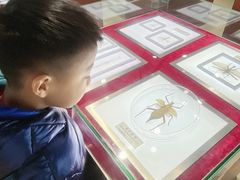 -上海昆虫博物馆