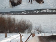 -北极村旅游风景区