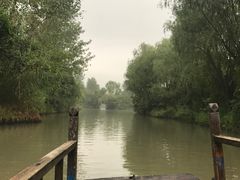 -溱湖国家湿地公园