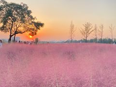 -汉长安城未央宫国家考古遗址公园