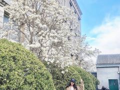 -中央戏剧学院(东城校区)