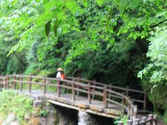 -西岭雪山大飞水景区
