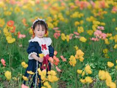 -鹅湖玫瑰文化园
