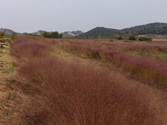 -西海岸生态观光园
