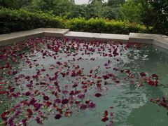 -天目湖涵田半山温泉