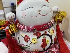-美联众合动物医院·24h京西诊疗中心