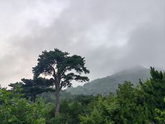 -妙峰山风景名胜区