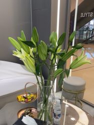 -崇尚GAVIN STYLE臻选