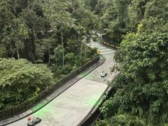 -圣淘沙天际线斜坡滑车