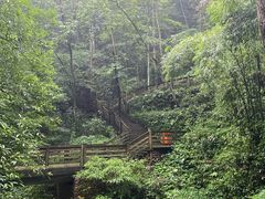 -青城山