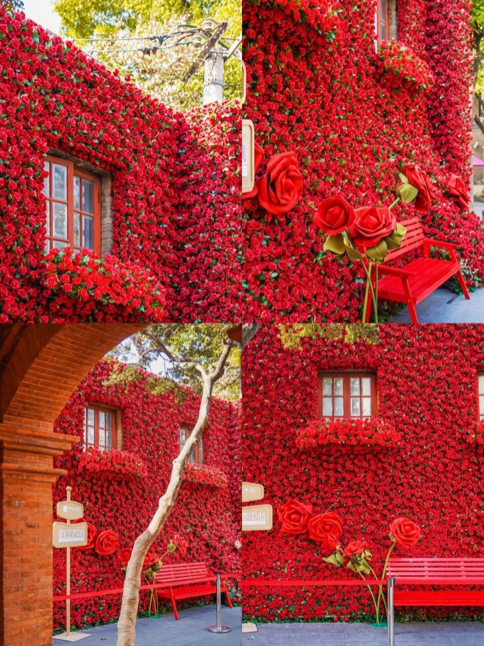魔都情人节氛围爆表!多伦路满屏玫瑰花墙太浪漫