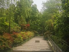 -杭州半山国家森林公园