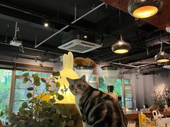 -咖法森林·咖啡  酒吧(天河店)