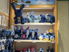 -德宏芒市国际机场