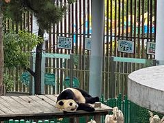 -大连森林动物园