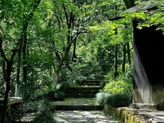 -杭州半山国家森林公园