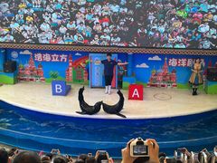 -成都浩海立方海洋公园