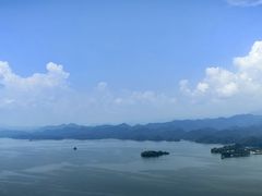 -浔味·山屿湖·正宗淳牌全鱼宴老字号