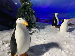-世界之窗阿尔卑斯冰雪世界