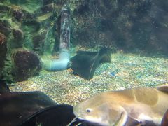 -太平洋海底世界