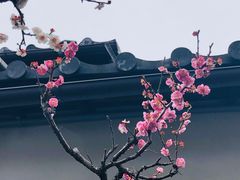 -中村藤吉(本店)