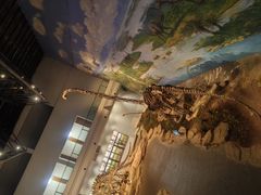 -自贡恐龙博物馆