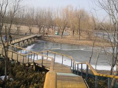 -东郊湿地公园
