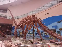 -陕西自然博物馆