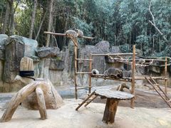 -杭州野生动物世界