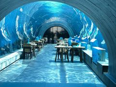 -海棠湾洲际-涛·海底餐厅·美人鱼·自助餐·海底隧道