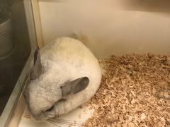 -龙猫仔乐园(惠福东路店)