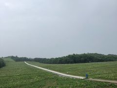 -大连铭湖国际观光牧场
