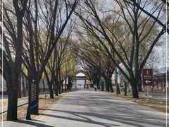 -野鸭湖国家湿地公园