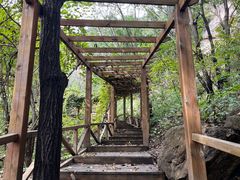 -大岭沟猕猴桃谷风景区