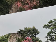 -中国版画博物馆