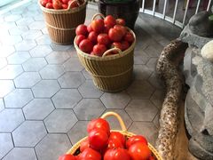 -蕃茄述·好汤自然来(江汉路店)