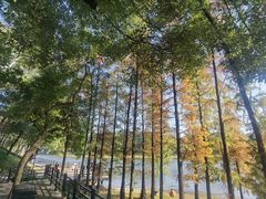 -沙河粉村·国家非遗传承(云台店)