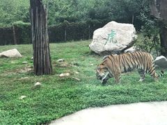 -西安秦岭野生动物园