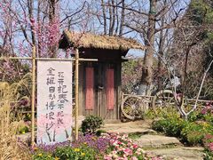 -圩墩遗址公园