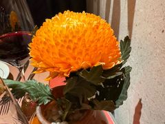 -福楼毕斯罗F Bistronome(国贸商城约会地标景观店)