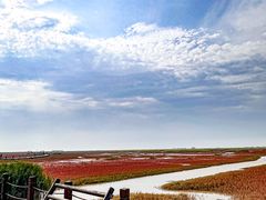 -红海滩国家风景廊道