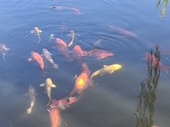 -白水寺森林公园